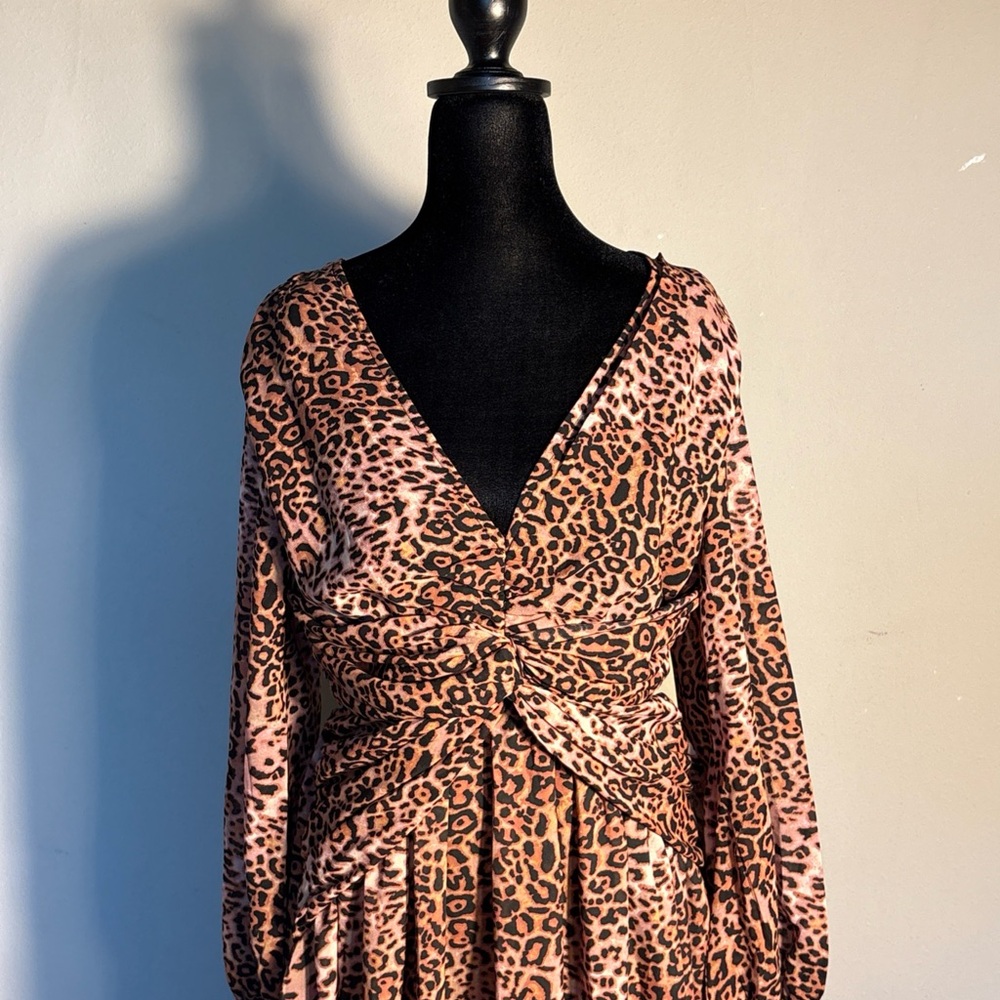 Ranna Gill Brown Animal Print Midi Dress - Picture 3 of 8